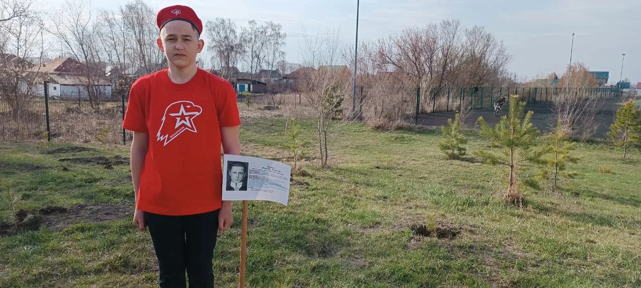 Сад памяти 2025 сколько деревьев. Сад памяти 2025. акция сад памяти. сад памяти бейсболка. дерево памяти на 9 мая.