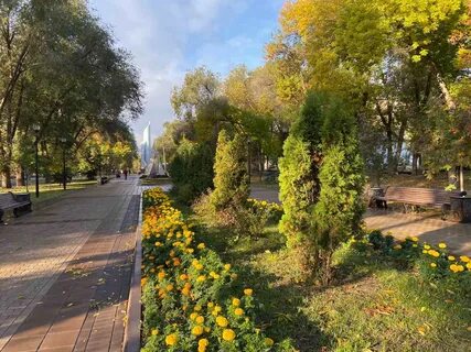 Аллея самара