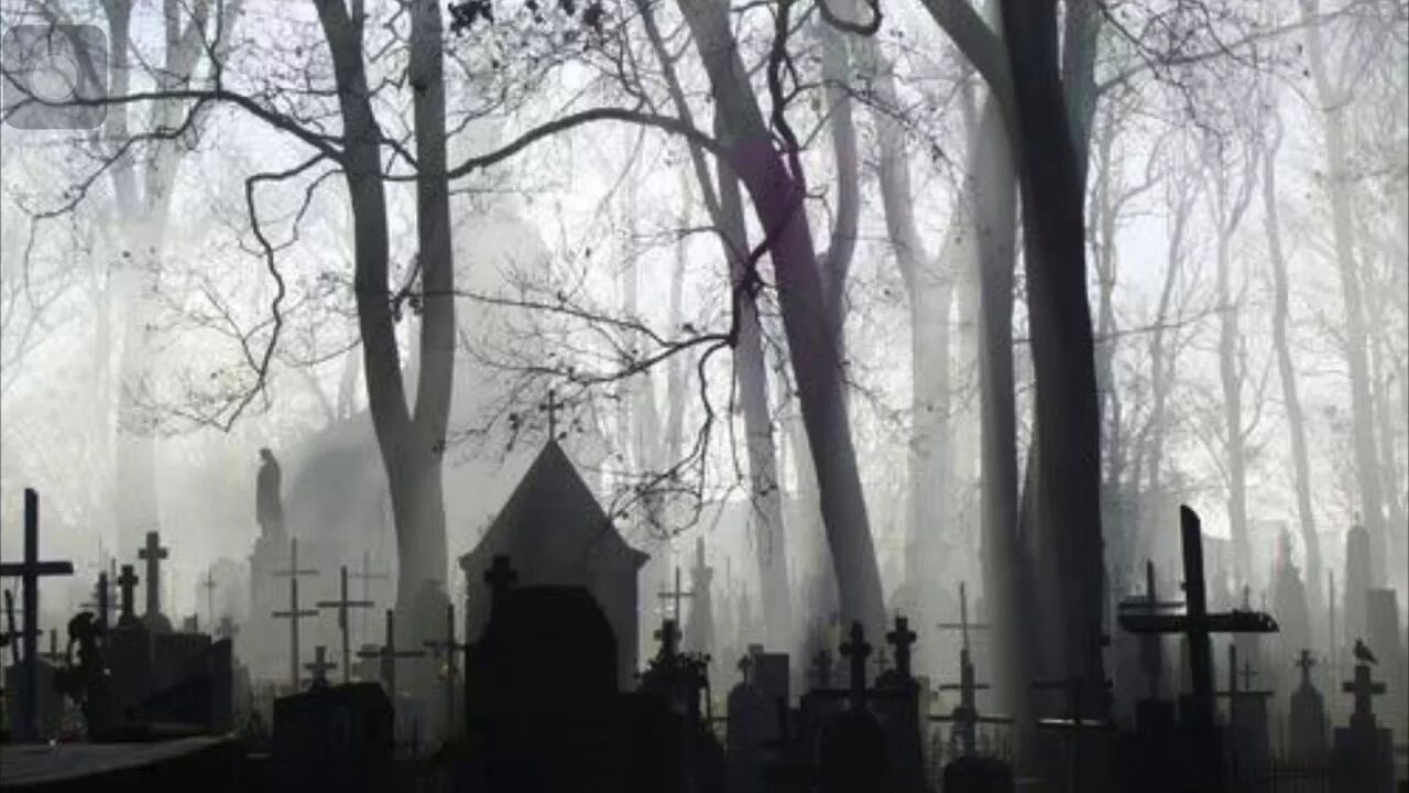 Черная краска graveyard. Викторианская псевдоготика кладбище. Готическое кладбище. Мрачное кладбище. Кладбище черно белое.