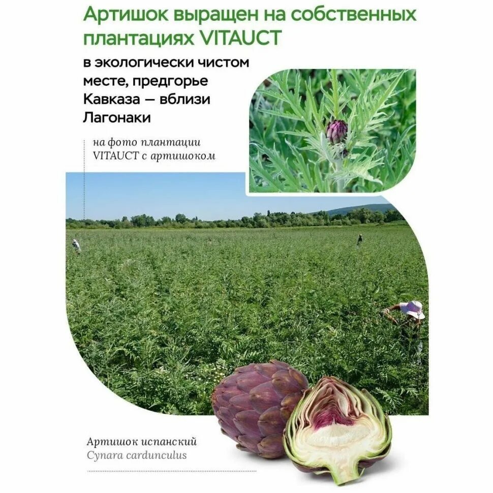 Цетрамакс исландский мох раствор 250 мл. Артишок адванс витаукт. Витаукт артишок адванс. Артишок адванс с лецитином vitauct. Лецитин витаукт.