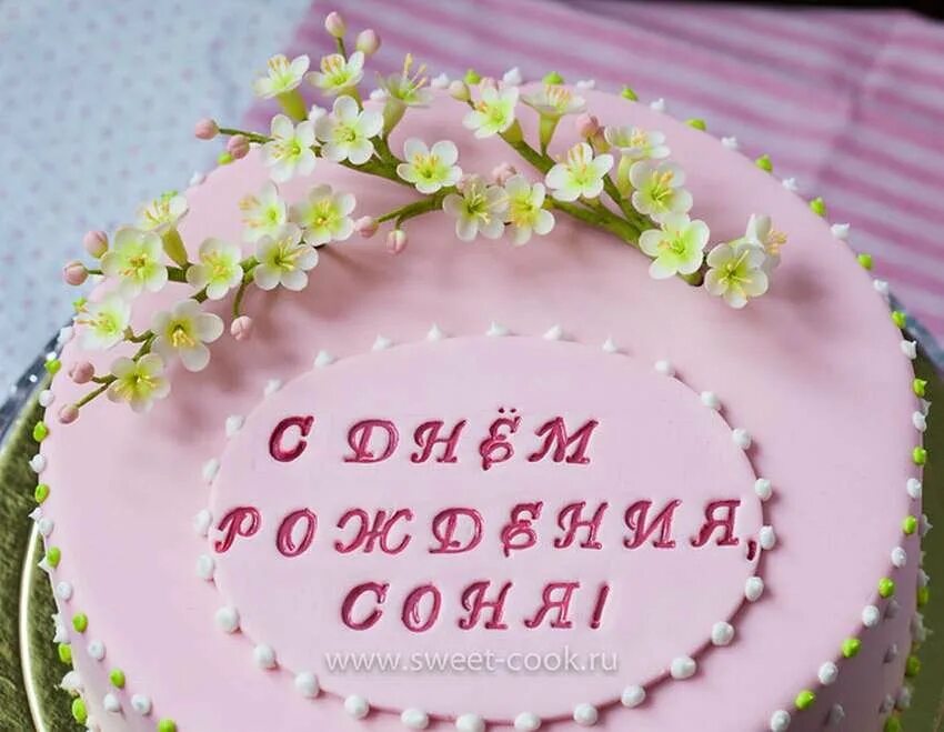 Софье 10 лет
