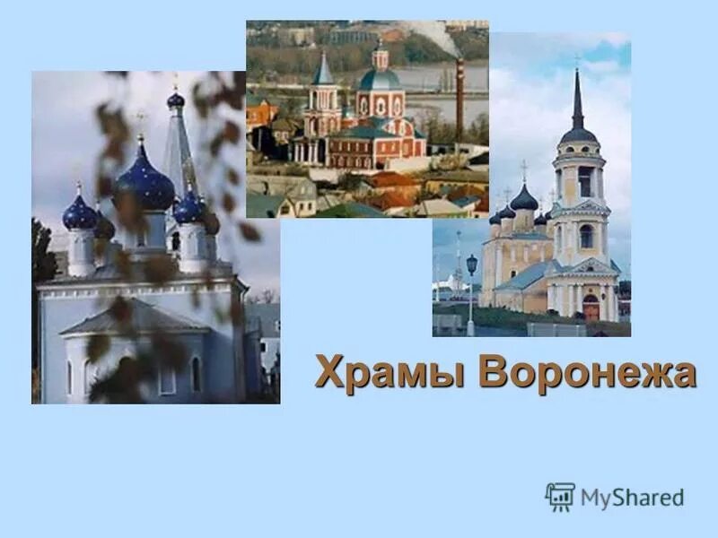 модель благовещенский собор воронеж. храмы воронежа на карте. благовещенский собор факты. боровский благовещенский кафедральный собор. покровский собор на карте.