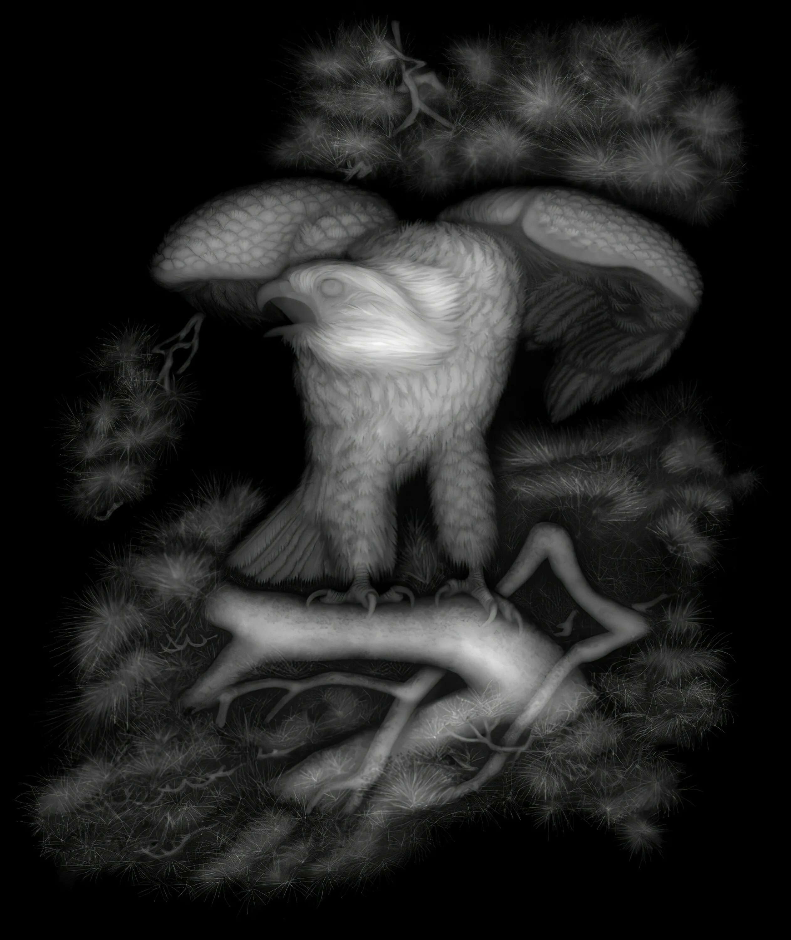 Карты высот для арткам bmp. Bmp format relief‎ скандинавия. 3d изображения в градациях серого bmp. Растровые изображения для арткам. Карта высот.