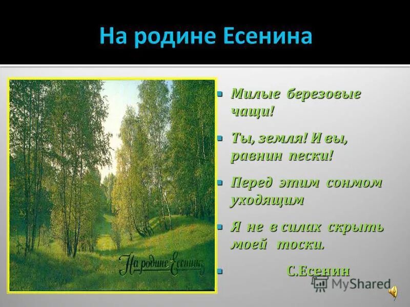 милые березовые чащи ты. милые березовые чащи ты земля и вы равнин. милые березовые чащи есенин. милые березовые чащи. есенина мы теперь уходим понемногу.