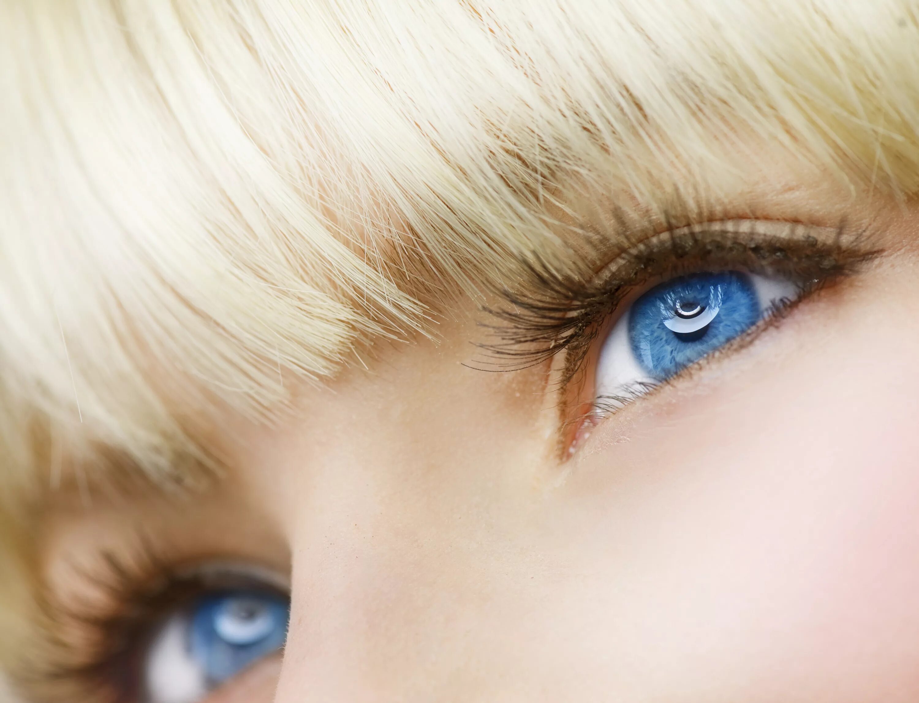 Какие голубоглазые девушки. Блондинка с голубыми глазами. Голубые глаза. Синие глаза. Красивые глаза.
