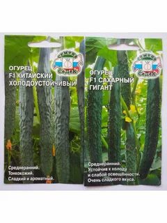 Сахарный огурец