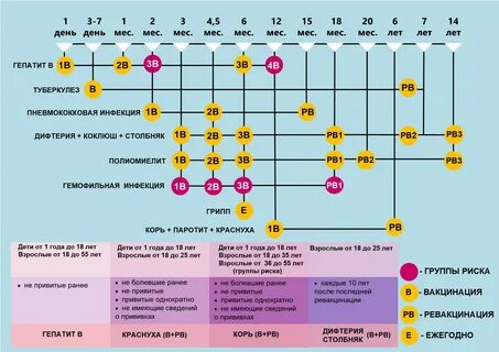 Прививка раз в 10 лет