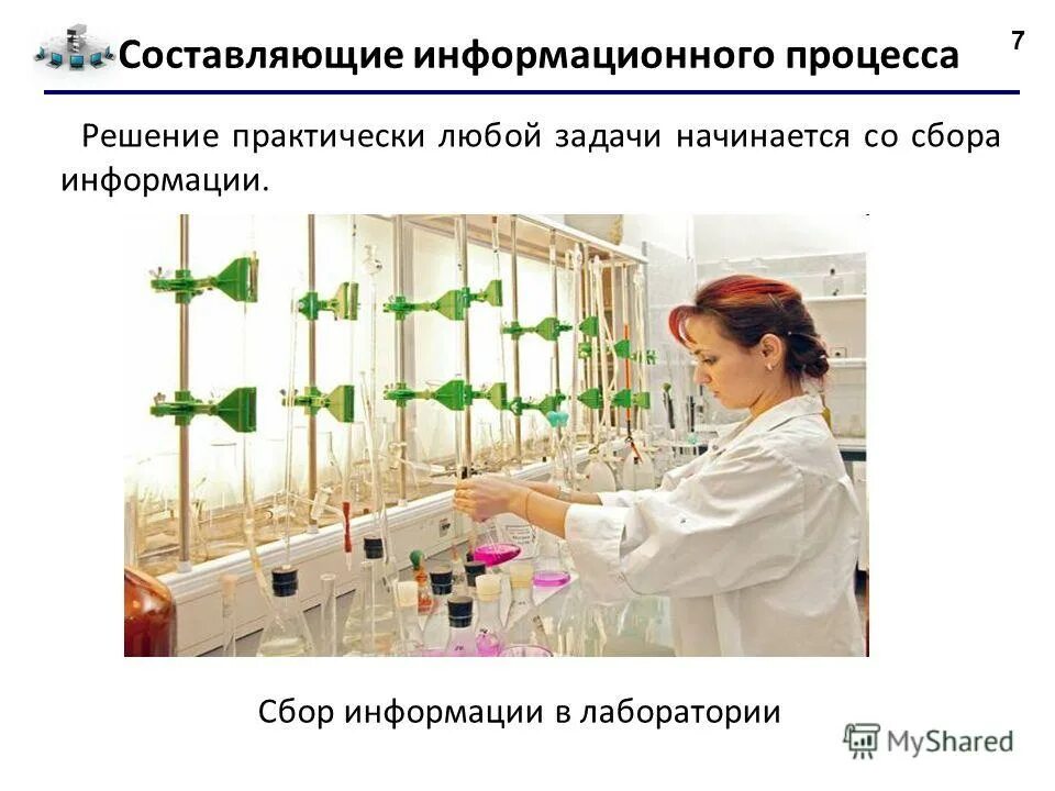 Сбор информации о профессии. Сбор информации о любой. It специалист. Сбор информации о любой. Интернет и человек.