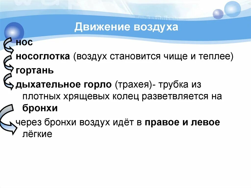 Воздух стал мягок. Загадки на тему система органов дыхания. Загадки про дыхательную систему. Загадки на тему дыхания. Загадки на тему дыхательная система с ответами.