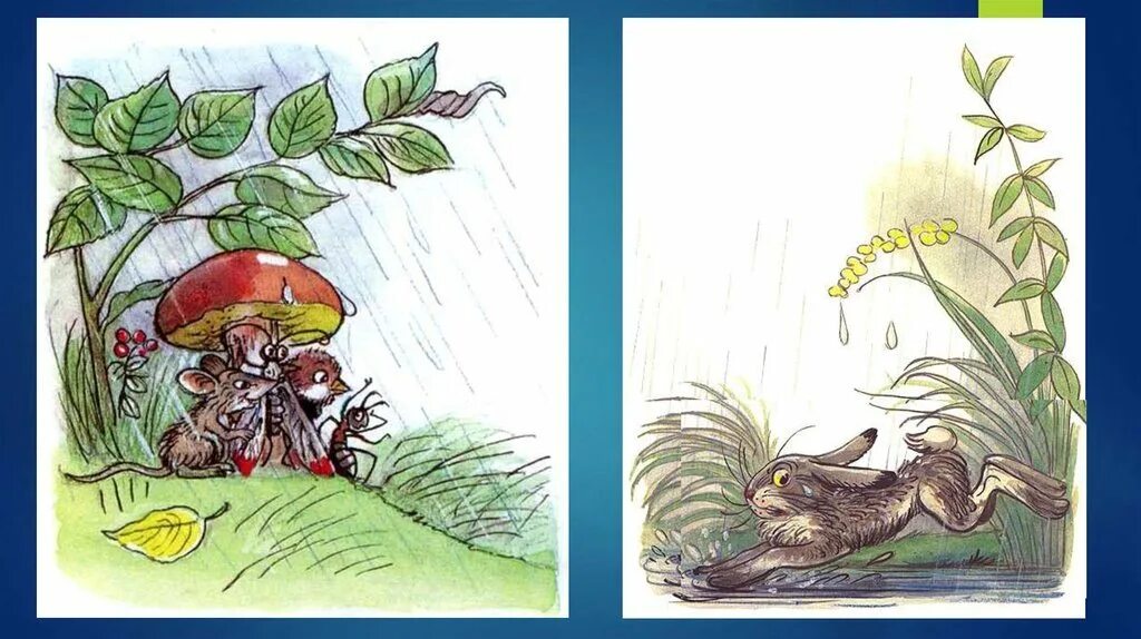 Иллюстрации к сказке Сутеева под грибом. Сутеев под грибом иллюстрации к сказке. Сутеев по грибом. Сутеев грибок. Произведений в г сутеева под грибом кораблик