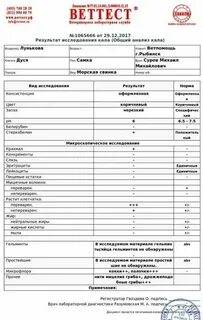 Кал вечерний можно