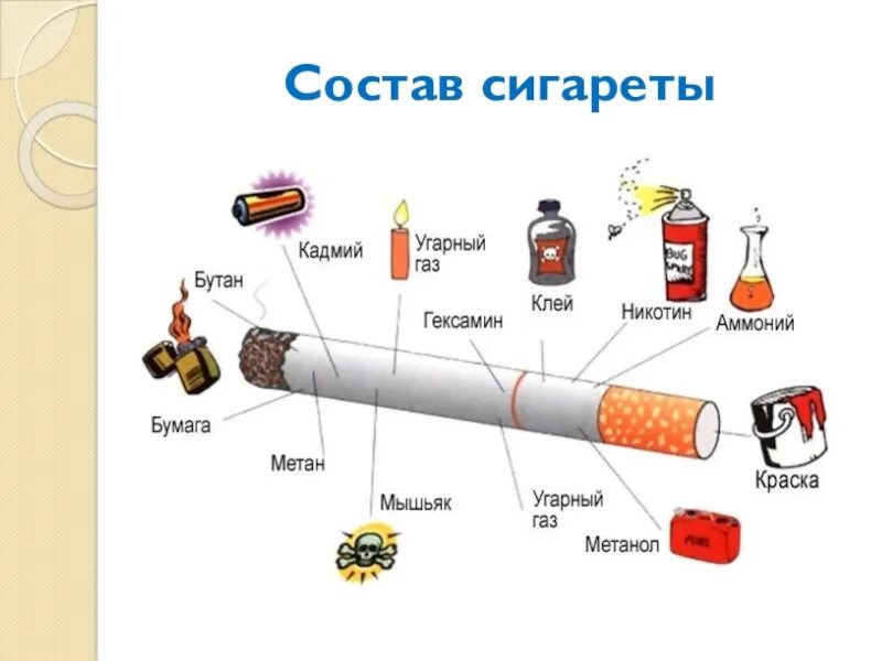Состав сигареты. Из чего состоит сигарета. Части сигареты. Строение сигареты.