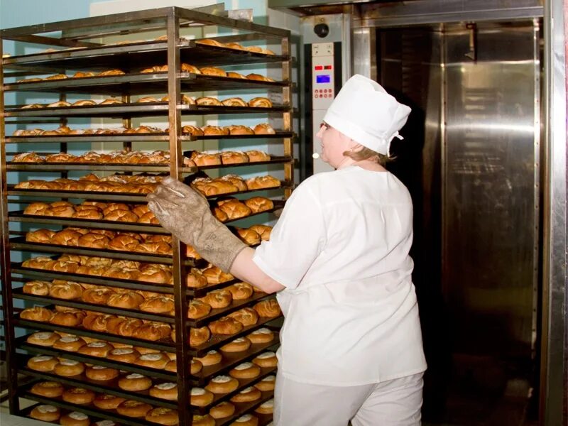 настоящая пекарня меню. пекарня шмидт новосибирск. отзывы о пекарне. Schmidt-пекарня новосибирск, гоголя 9. разнорабочие в пекарню.