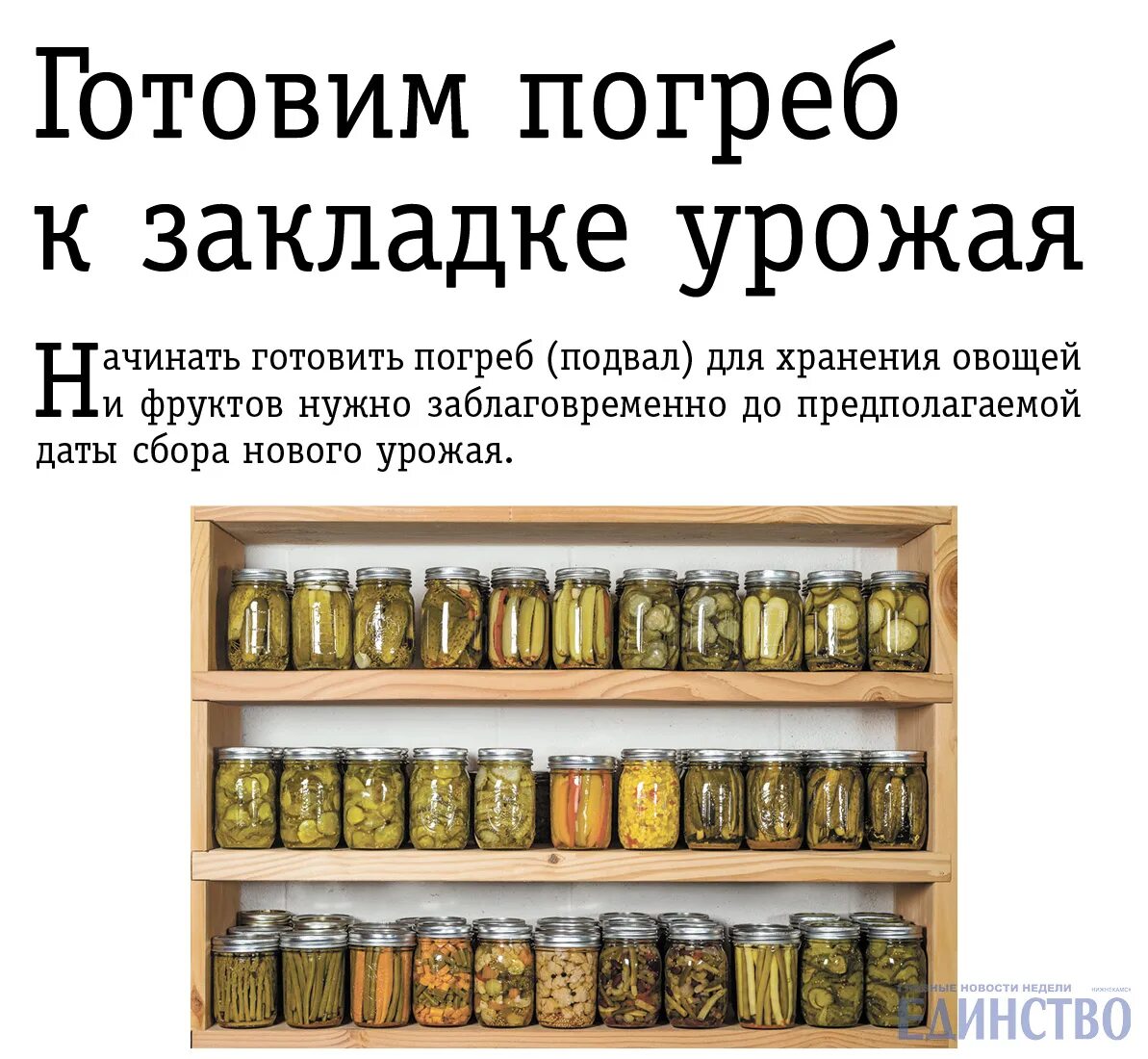 Какая температура для хранения овощей зимой. Какая температура для хранения овощей зимой