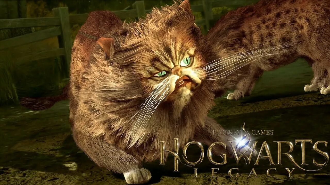 Hogwarts legacy гермиона. Хогвартс легаси животные. Hogwarts legacy твари. Лунтеленок hogwarts legacy. Гиппогриф хогвартс наследие.