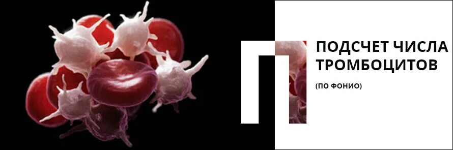 Тромбоциты в мазке по фонио. Метод подсчета тромбоцитов в мазке крови. Подсчет по фонио. Подсчет по фонио. Формула расчета тромбоцитов.