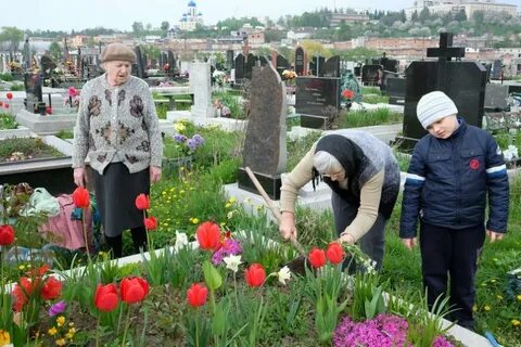 Розы можно сажать на кладбище