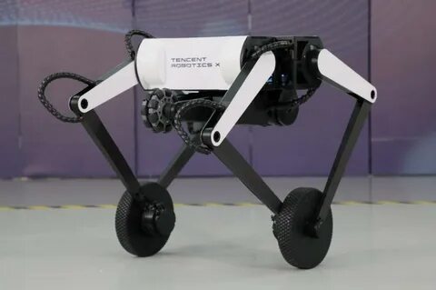 Legged robots