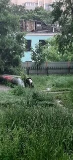Огороженных разбор