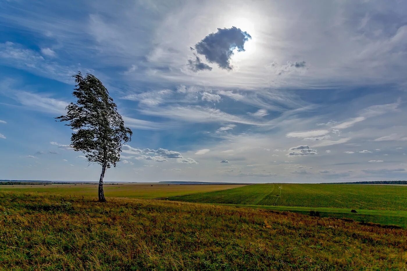 Ветер в природе. Природа Южного Урала. Природа ветерок. Ветер на Южном Урале. Южный теплый ветер