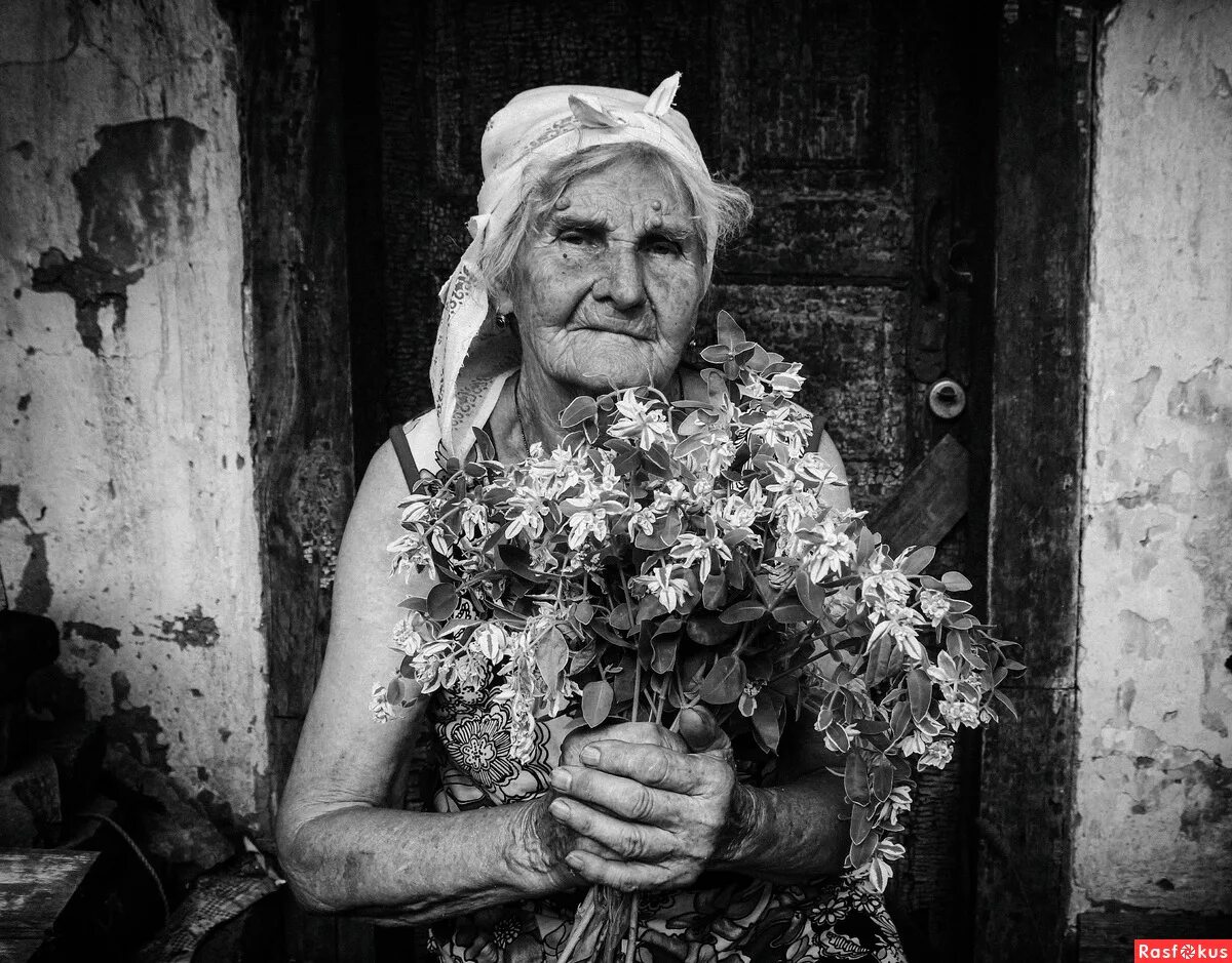 Старые русские дамы. Старая женщина. Старенькая девушка. Бабушка с ромашками. Древние старушки.