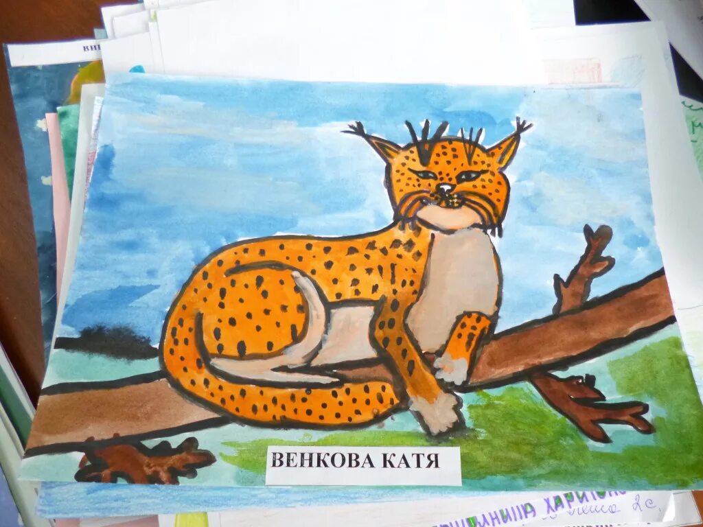 Конкурс животных. Рисунок на конкурс животные. мир животных рисунок на конкурс. конкурс рисунков животных. конкурс рисунков защита животных.