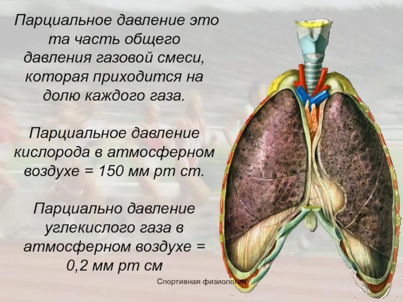 Как изменится парциальное давление. Парциальное давление эьл. парциальное авлението. парциальное давление это физиология. парциальное давление это в медицине.