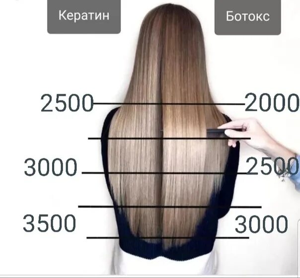 Длина волос в см таблица по длинам. Длина волос. Разметка длины волос. Короткие средние и длинные волосы. Градация длины волос.