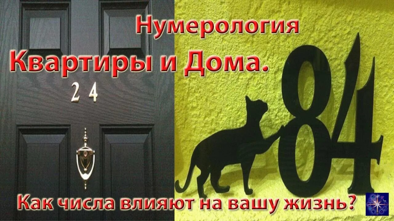 Число квартиры 11