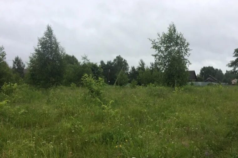 Лесное варегово ярославская область участок №2. Участки в ярославле. Авито участки ярославль. Березка сад. Деревня филисово ярославская область катедж.