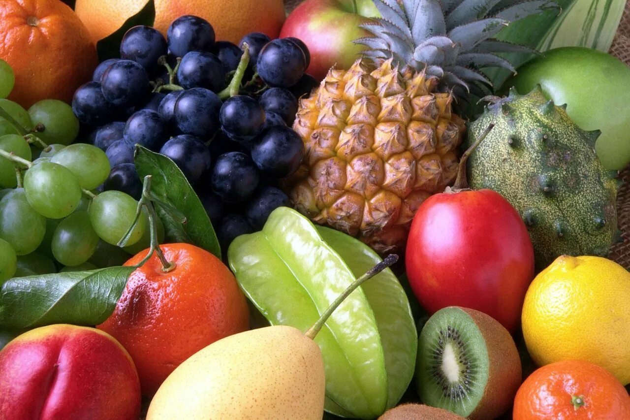 Цитрус мевалар. Экзотические фрукты. Овощи, фрукты, ягоды. Разные фрукты и овощи. Экзотические товары