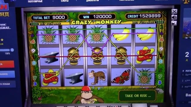 Crazy time игра. Как выигрывать в crazy. Crazy monkey игровой автомат обезьянка. Как выигрывать в crazy. Казино crazy time выигрыш.