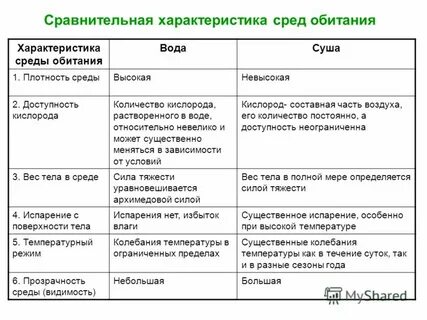 Сравнительная характеристика сред обитания