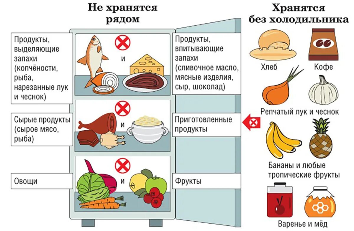 Правила хранения продуктов. Правила хранения продуктов питания. Правила хранения продуктов в холодильнике. Правило хранение продуктов в холодильнике. Почему сыр хранят в холодильнике