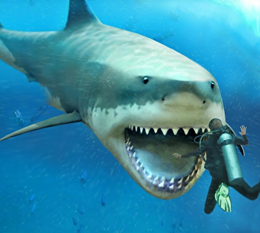 Megalodon shark