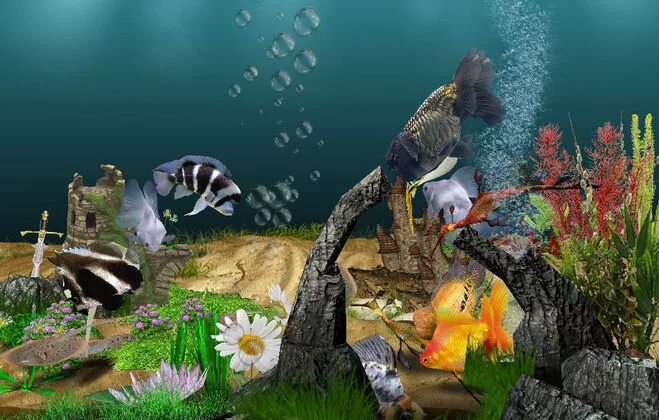 Игры аквамир 3d аквариум. Игра аквамир 3d аквариум. Аквамир 3д. Aquarium plants icon. Аквамир 3д игры.