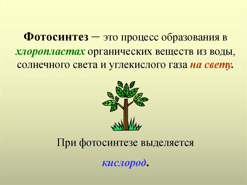 Сообщение на тему фотосинтез 6 класс. Фотосинтез. Фотосинтез это в биологии. Фотосинтез 6 класс. Фотосинтез по биологии.