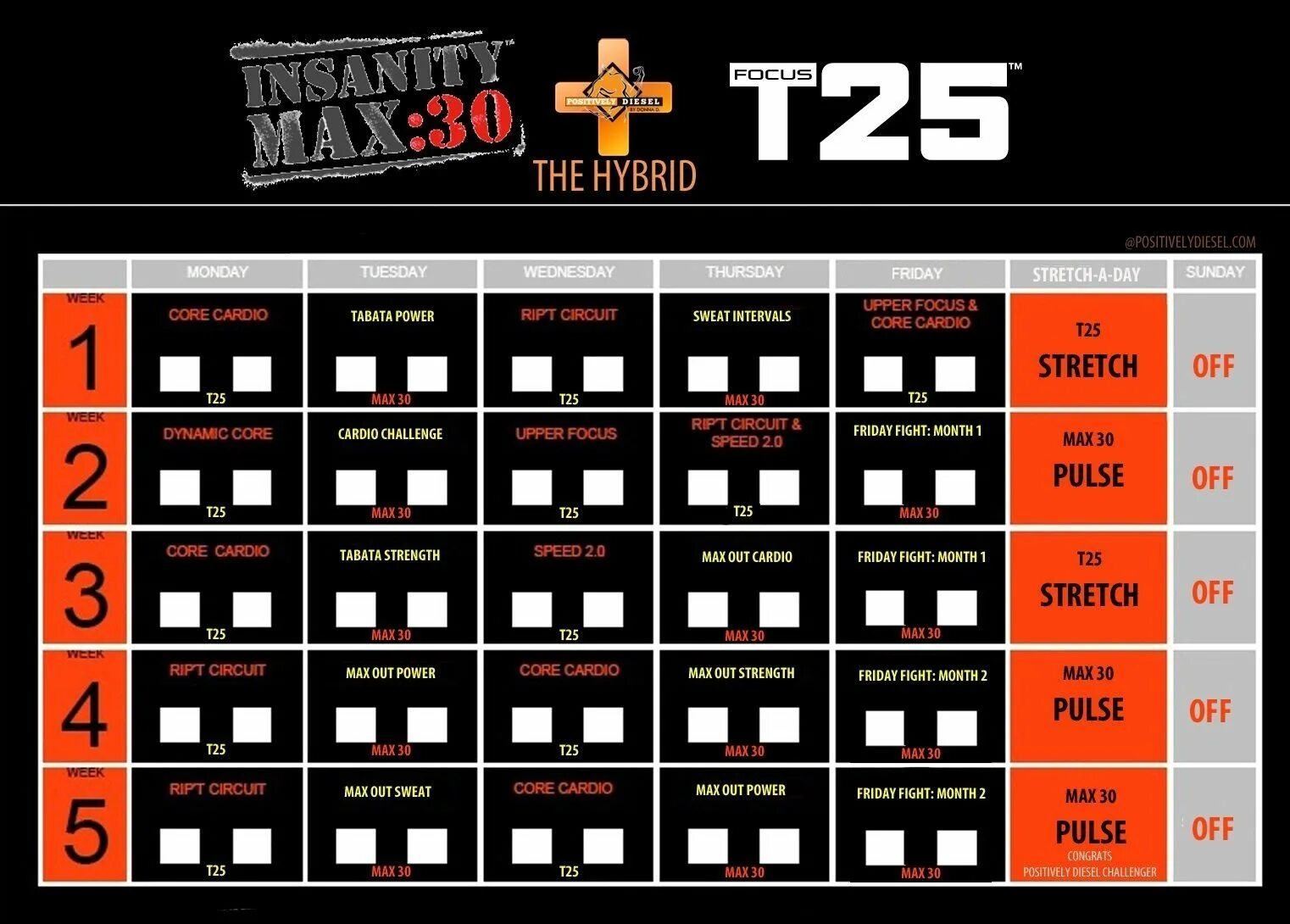 Шон ти макс. Insanity max 30 календарь тренировок. шон ти фокус т25. шон ти т 25. т25 шон ти альфа.