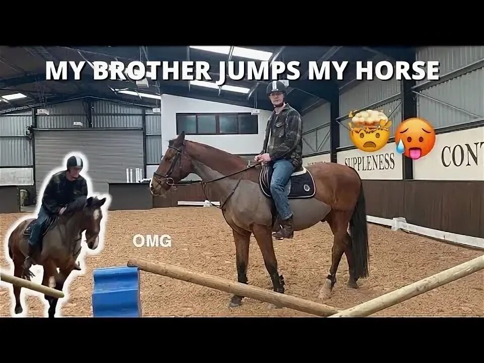 Лучшие друзья лошадь и человек. Brother horse. Оливье филиппаертс. Ludo philippaerts. Братья лоша.