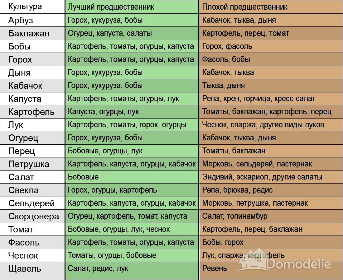 Что посадить после перца болгарского