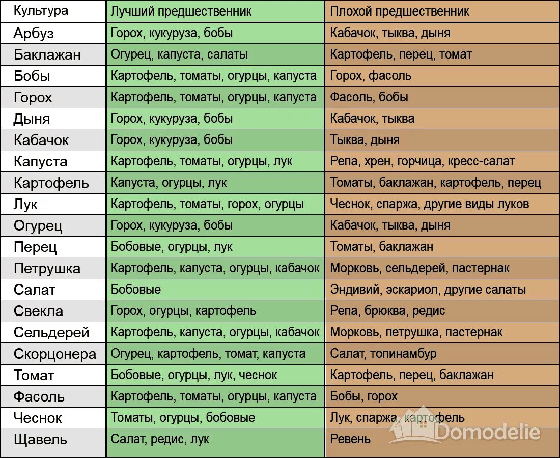 Овощи в огороде список. Совместимость овощных культур при посадке на грядке таблица. Посадка овощей предшественники таблица. Предшественники овощных культур при посадке таблица. Совместимость овощей на огороде при посадке таблица.