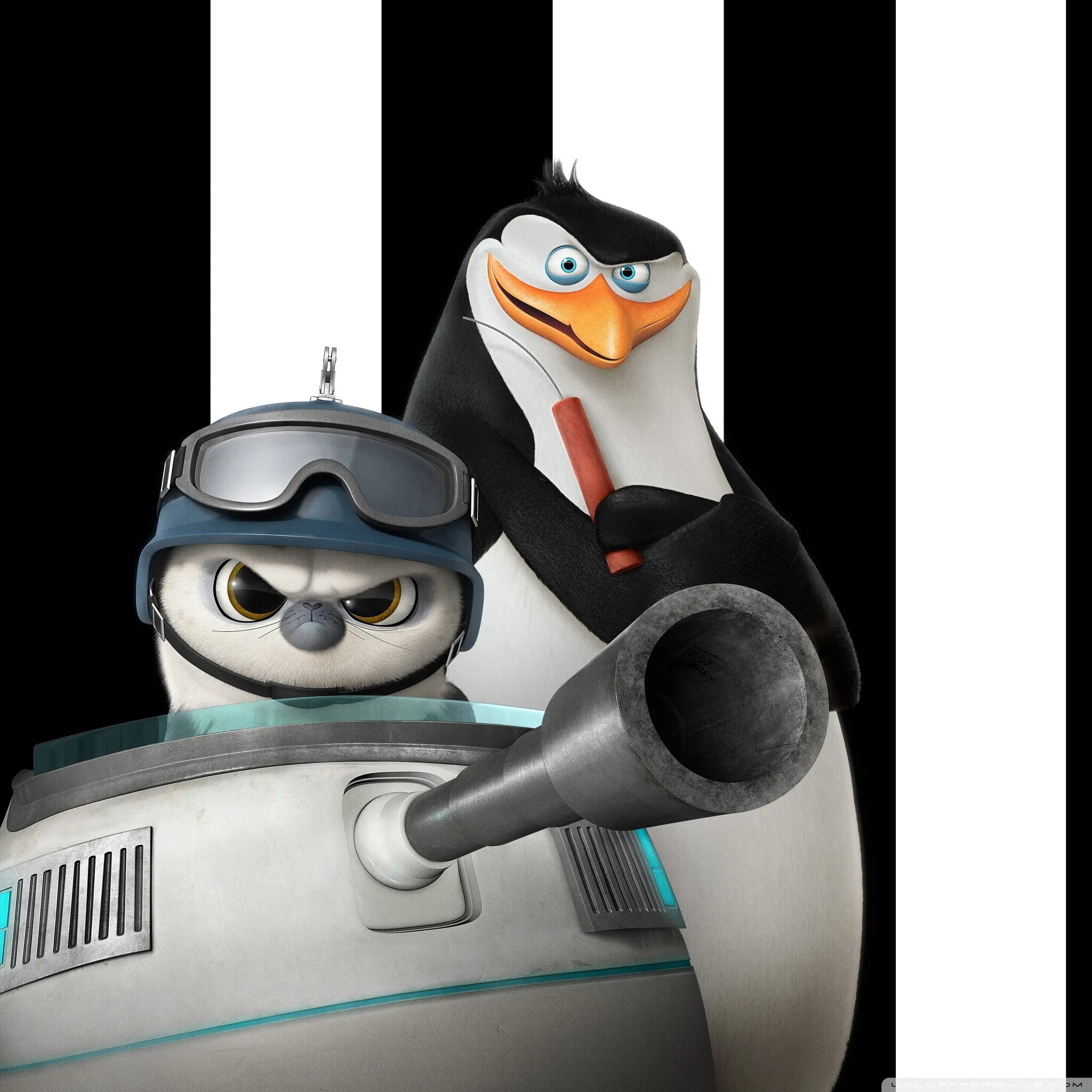 Шкипер ковальски рико и рядовой мадагаскар. Пингвины из мадагаскара. Penguins of madagascar пингвины мадагаскара 2014. Пингвины мадагаскара шкипер 2014. Пингвины из мадагаскара.