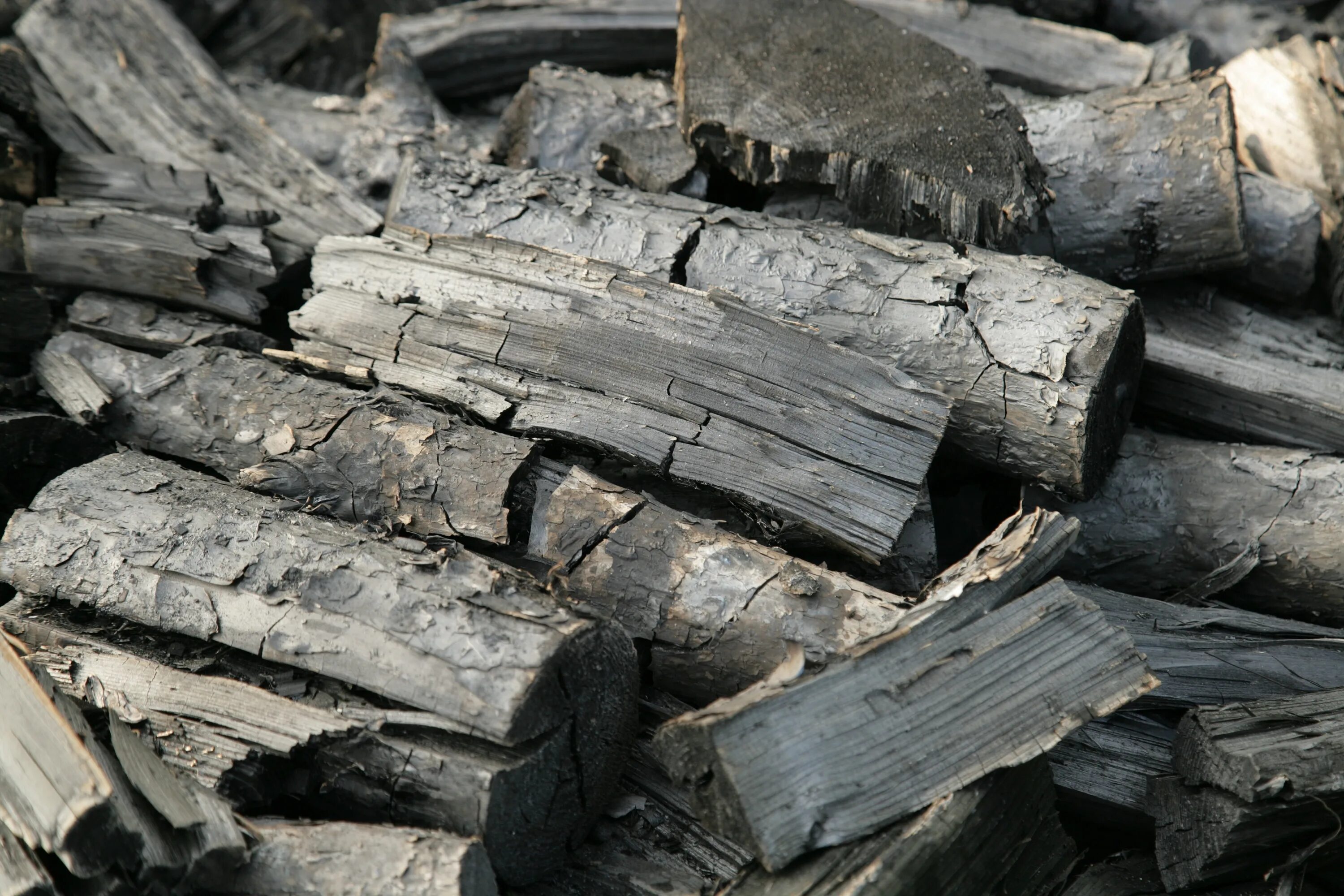 Уголь древесина. Уголь дрова. Каменный уголь. Угольное дерево. Каменный уголь дерево