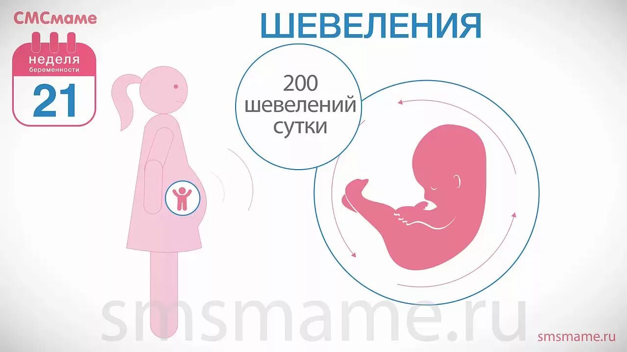 21неделья беременности. Ребенок на 21 неделе беременности. 21 weeks