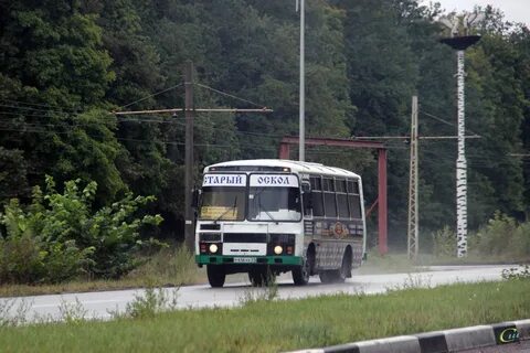 Старый оскол курск автобус