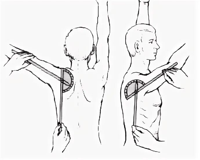 Максимальные движения суставов. Гониометрия локтевого сустава. Отведение в плечевом суставе в градусах. Гониометрия плечевого сустава норма. Генеометрия плечевогосустава.