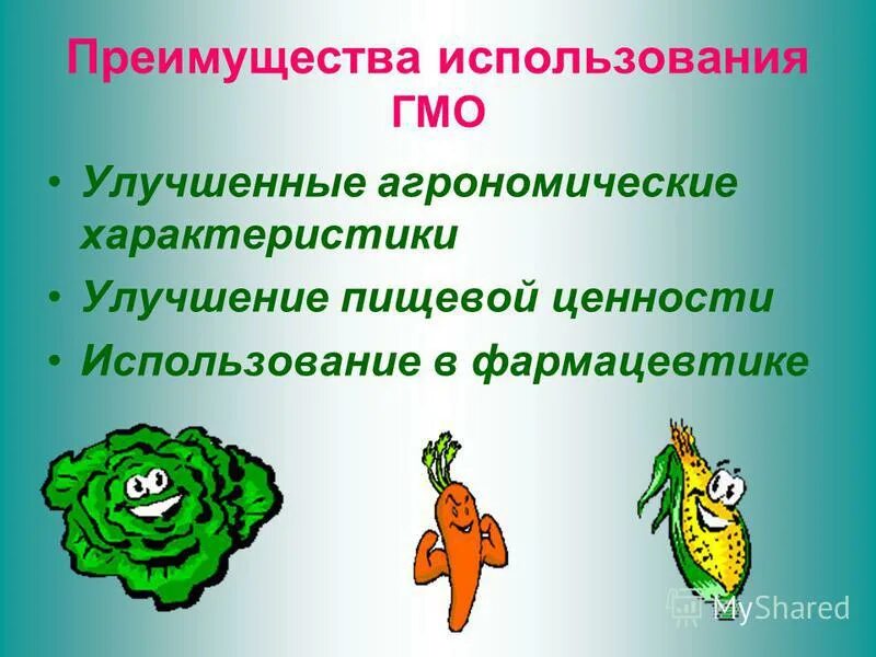 плюсы и минусы модифицированных продуктов. генномодифицированные продукты плюсы и минусы. положительные стороны гмо. плюсы и минусы гмо продуктов. гмо вред или польза.