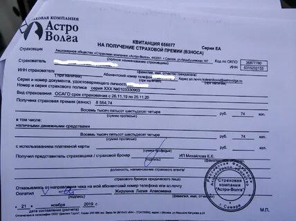 Какие документы в калининград