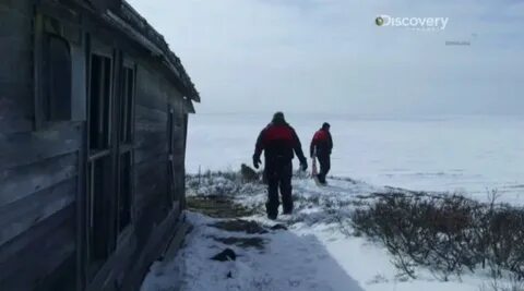 Золотая лихорадка под лед берингово моря