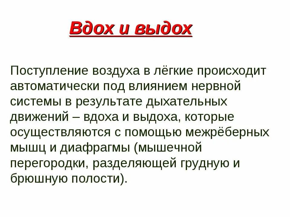 Поступление воздуха в кровь. Какой путь проходит воздух во время вдоха и выдоха. Как проходит воздух во время вдоха и выдоха. Рассказ о том какой путь проходит воздух во время вдоха и выдоха. Вдох выдох.